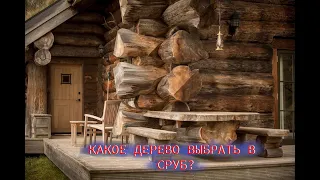 Какое дерево выбрать в сруб?