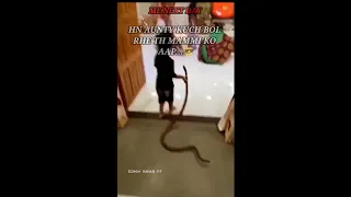 IMPOSSIBLE 💥⚠️ ''BACHNA AE HASEENO'' omg😱 this child playing with snake 🐍 #shorts