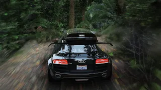 GTA 5 Push RAGE ENGINE To The Limit WIth Realistic Reflection And Dense Forest Showcase On RTX4090