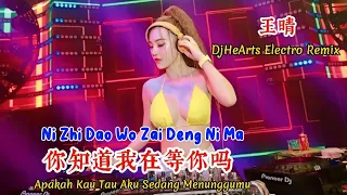 王晴 - 你知道我在等你吗 - Ni Zhi Dao Wo Zai Deng Ni Ma - (DjHeArts Electro Remix)