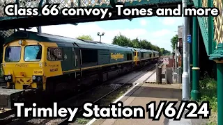 Trains at Trimley station 1/6/24 | Class 66 convoy, Tones and more ! #trimley #railway #class66