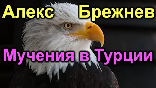 Алекс Брежнев Мучения в Турции