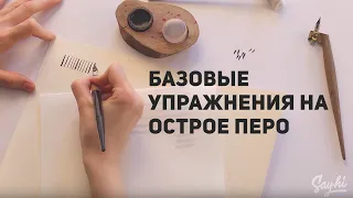 Каллиграфия для новичков острым пером. Упражнения по каллиграфии.