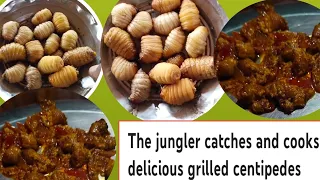 the jungler catches and cooks delicious grilled cantipedes my village cooking in India