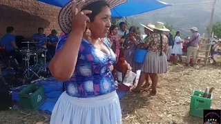 COPLAS DE TODO SANTOS  PARTE 3  JUNTO A BERTHA AYALA  EN PUCAERA