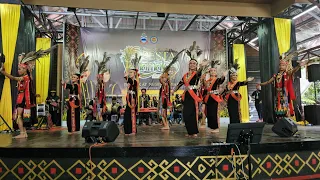 PESTA KAAMATAN KDCA 2024 -MURUT NABAI- (Tarian Mansayau)