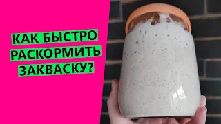 Как😲 быстро раскормить закваску? Растим за три шага!