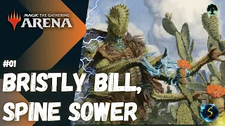 It's Showtime: Bristly Bill, Spine Sower 🌲 #01 - MTG Arena - Historic Brawl
