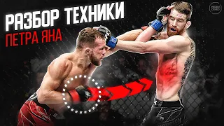 Лучший Боксер UFC! Петр Ян Разбор Техники Чемпиона! @Main_Card