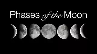 Phases and Motions of the Moon