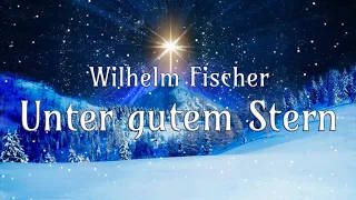 ✨🌠Unter gutem Stern - Wilhelm Fischer - Weihnachtsmärchen - Hörbuch