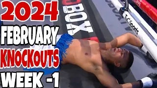 MMA & Boxing Knockouts I February 2024 Week 1