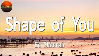 Ed Sheeran - Shape of You || Sia, Sean Paul, Jamie Miller, Justin Bieber (Mix Lyrics)