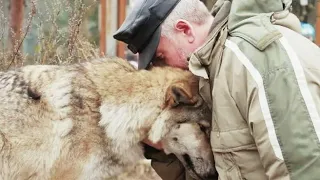 Волчица пришла в деревню и стала просить помощи. Лишь один мужчина пожалел её.