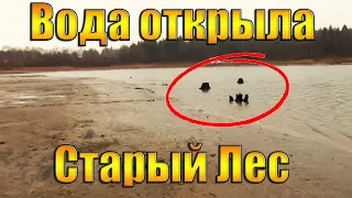 НАХОДКИ НА БЕРЕГУ,ВОДА СКРЫВАЕТ МНОГО ИНТЕРЕСНОГО и КОП ХОРОШ! топ 10 мест где ищут кладоискатели