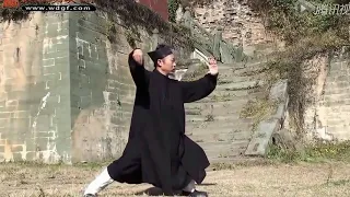 Wudang Sanfeng Taiji Quan 28 by Master Zhong Yunlong (slo-mo)