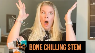 STEM Challenge | Halloween Skeleton Bone Activities for Kids