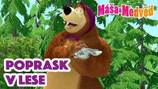 Máša a Medvěd 🐻👧 Poprask v lese 🌳🤯 Kolekce epizod 🎬