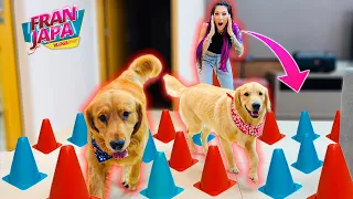 DESAFIO DO TIK TOK COM OS CACHORROS !!! - Fran Japa