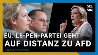 Frankreichs Rechtpopulisten gehen auf Abstand von AfD in EU-Parlament