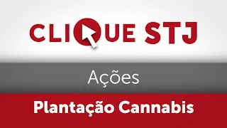 Suspensas ações sobre plantio de Cannabis para fins medicinais  23.03.23