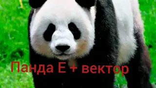 Песня панда Е + вектор!
