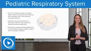 Pediatric Respiratory System: In a Nutshell  – Pediatric Nursing | Lecturio Nursing