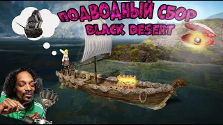 Подводный ФАРМ БДО. Сбор омаров🦞 и жемчужин 💍в БДО🤩.ЖЕМЧУГ || КЛЕЙ💰 Black Desert Online