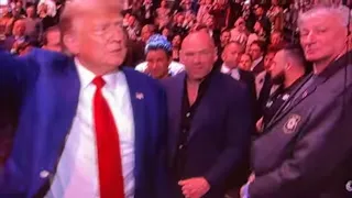Trump Enters UFC 296 Arena, Meets Joe Rogan