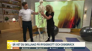 Förebygg ryggssmärta: "80% av den vuxna befolkningen får ryggproblem" - Nyhetsmorgon (TV4)