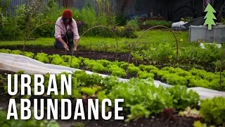 Organic Urban Farming on a 1/2-Acre Property - Urban Abundance