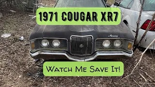 1971 Cougar. XR7: Watch me save it!!!