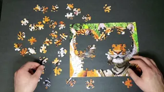 Cute Tiger Puzzle 🐅