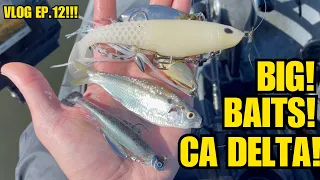 Catching BIG BASS With BIG BAITS! On The CA Delta!