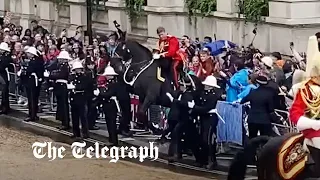 King's coronation: Horse loses control and crashes into crowds