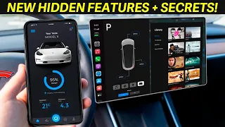 BRAND NEW Hidden Features! - Tesla Model 3 + Model Y