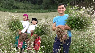 Buckwheat flower season. Make buckwheat flower cake. Robert | Green forest life