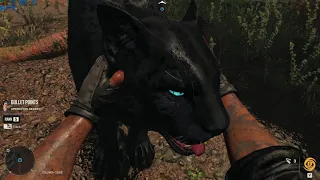 Farcry6 Ghost Jaguar Pet