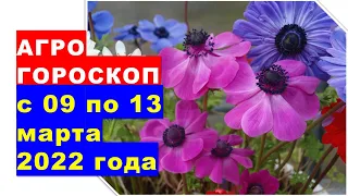 Агрогороскоп с 09 по 13 марта 2022 года