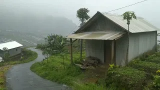 Beautiful Rain in Beautiful Village | Very Relaxing and cooling | rain video