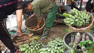 Build a bathhouse, dig bamboo shoots, harvest bananas and bring them to the market to sell Ep 51