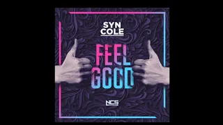 Syn Cole- Feel Good Instrumental Version