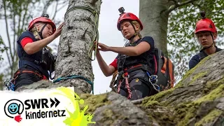Erste Hilfe am Berg - Bergwacht und THW (3) | Alarm - die jungen Retter 2019 | SWR Plus
