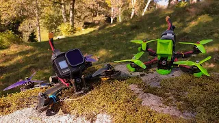 Proxy into the Trees - FPV Freestyle