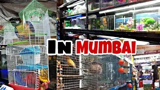 Imported Cages & Imported Aquariums|Cheapest Rate| In Mumbai