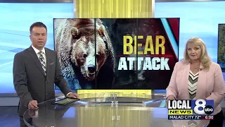 Grizzly bear attacks, injures antler hunters in Wyoming