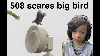 Ryker - 508 Tornado Siren Scares Big Bird