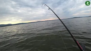 РЫБАЛКА НА ЧЕРНОИСТОЧИНСКОМ ВОДОХРАНИЛИЩЕ! ШЕСТЬ КИЛОМЕТРОВ НА ВЁСЛАХ! НЕ ОЖИДАЛИ ТАКОГО РЕЗУЛЬТАТА!