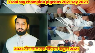 2021 say 2023 tak Champion Pigeons Loft ka visit || Haji Waqas #kabootarbazi