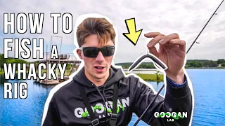 HOW and WHERE TO FISH a WHACKY RIG! ( LUNKER LOG TIPS )